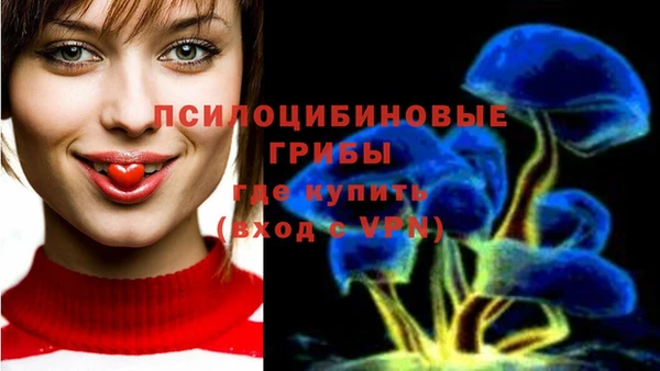 герыч Лагань