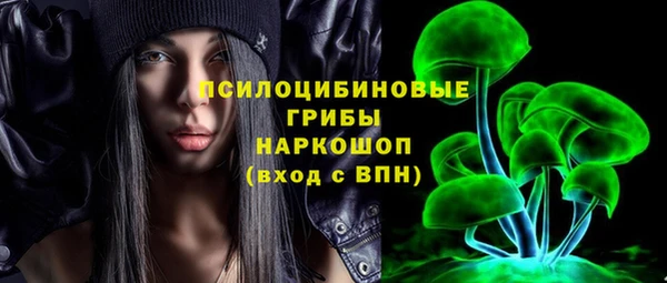 ешки Ладушкин