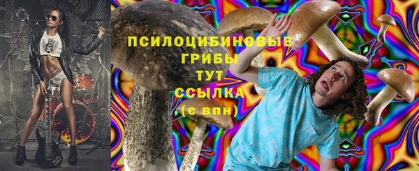 герыч Лагань