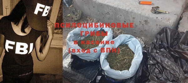 ешки Ладушкин