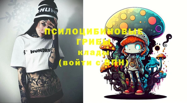 ешки Ладушкин