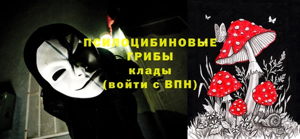 ешки Куйбышев